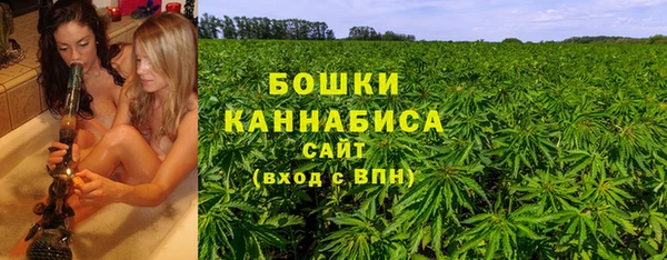 мяу мяу мука Дмитриев