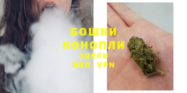 мяу мяу мука Дмитриев