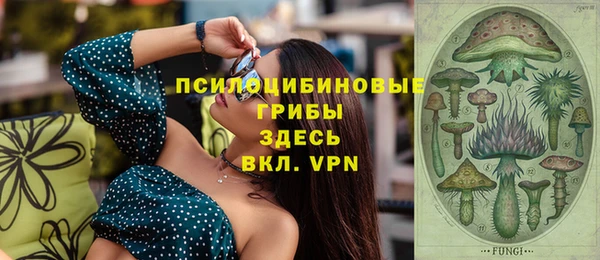 мяу мяу мука Дмитриев