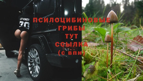 мяу мяу мука Дмитриев