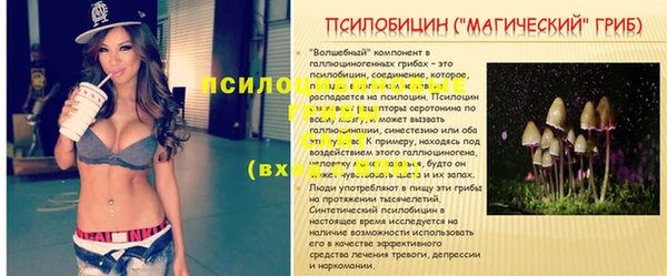 мескалин Дмитровск